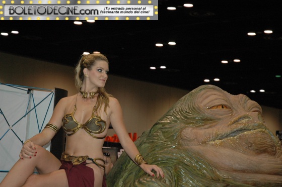 celebration VI pic 2